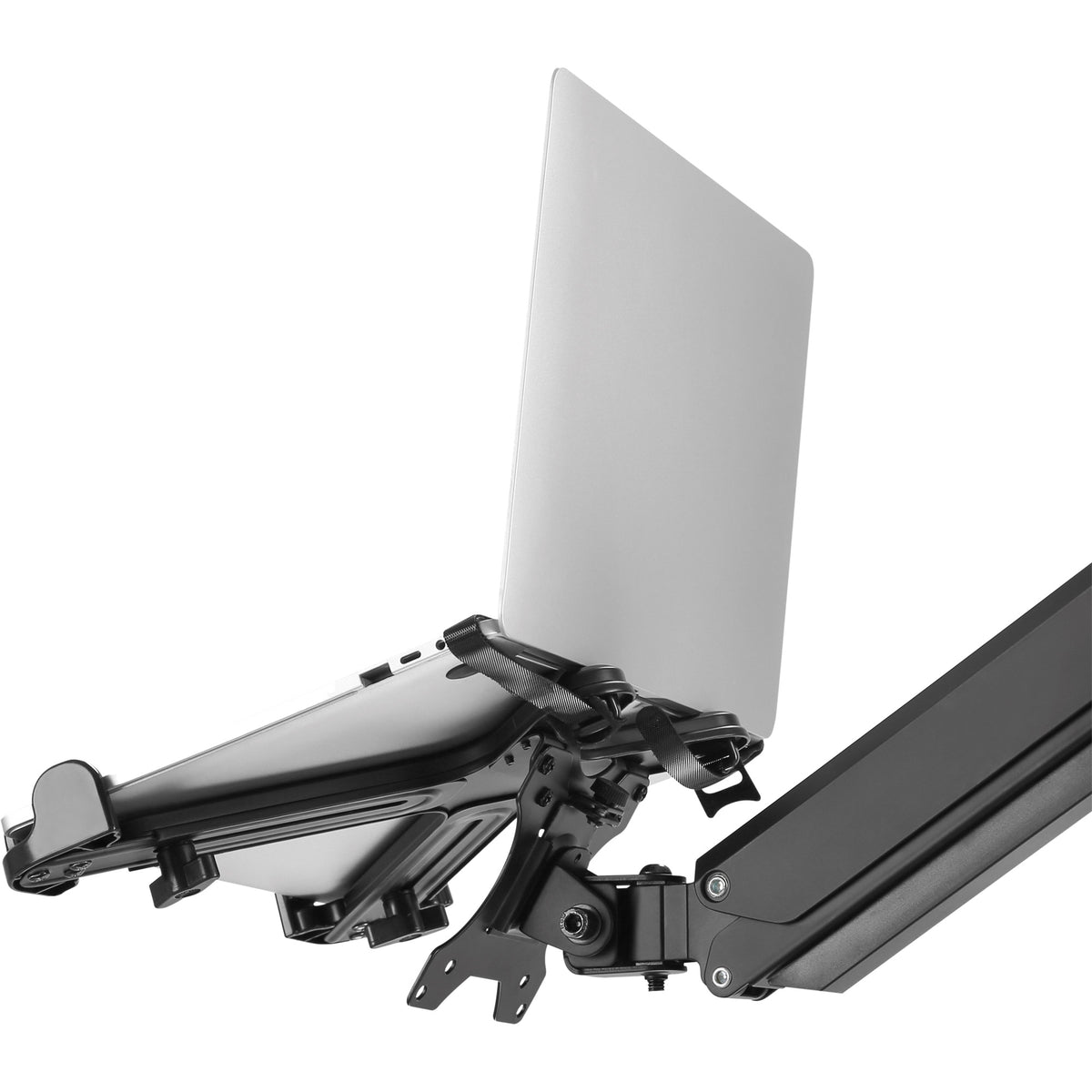 InLine® Notebook-Halterung bis 17" mit VESA 75/100 Montageplatte – Ansicht 6
